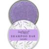 Shampoo Bars in Travel Tin